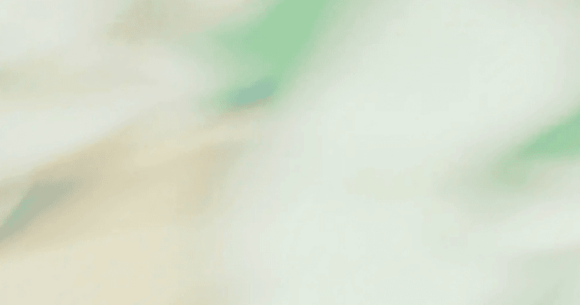 Anybot background